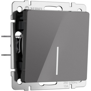 Изображение товара Выключатель встраиваемый одноклавишный с подсветкой (графит акрил) Werkel W1110144 (a064077)