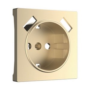 Изображение товара Накладка для розетки USB (шампань) Werkel W1179511 (a050854)