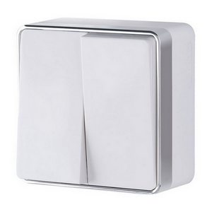 Изображение товара Выключатель накладной двухклавишный Gallant (белый) Werkel W5020001 (a051592)