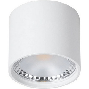 Изображение товара Потолочный накладной светильник влагозащищенный светодиодный Wertmark WTA WTA.O02.007.V0.07