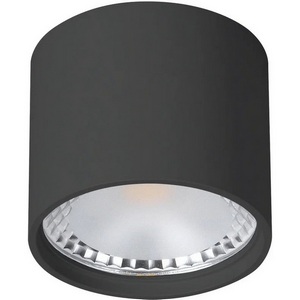 Изображение товара Потолочный накладной светильник влагозащищенный светодиодный Wertmark WTA WTA.O02.607.V0.07