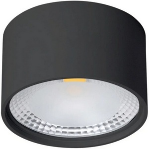 Изображение товара Потолочный накладной светильник влагозащищенный светодиодный Wertmark WTA WTA.O02.607.V0.12