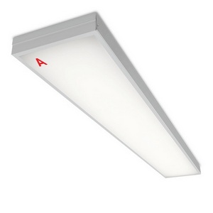 Изображение товара Светодиодная панель Wolta Лайнер ДПО01-72-141-5К с БАП EM1 72Вт 5000К IP40 матовый