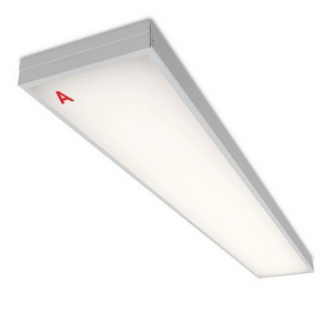 Изображение товара Светодиодная панель Wolta Лайнер ДПО01-72-151-4К с БАП EM3 72Вт 4000К IP40 матовый
