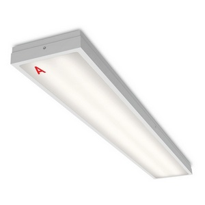 Изображение товара Светодиодная панель Wolta Лайнер IP54 ДПО03-36-141-4К с БАП EM1 36Вт 4000К IP54 матовый