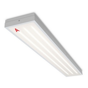 Изображение товара Светодиодная панель Wolta Лайнер IP54 GL ДПО03-54-155-3К с БАП EM3 54Вт 3000К IP54 матовый
