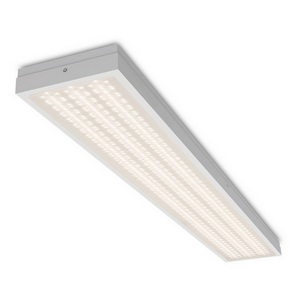 Изображение товара Светодиодная панель Wolta Лайнер IP65 ДПО08-54-102-3К 54Вт 3000К IP65 микропризма