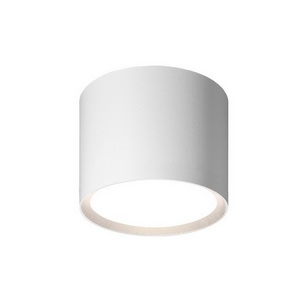 Изображение товара Точечный светильник накладной Wolta WSL-GX53/01W под лампу GX53 Белый BASIC