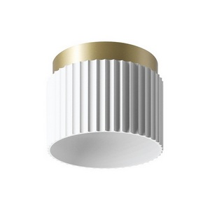 Изображение товара Точечный светильник накладной Wolta WSL-GX53/19WG под лампу GX53 Белый / Золотой MUSE