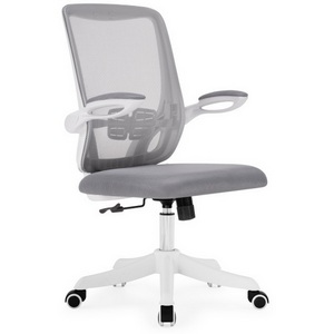 Изображение товара Стул для офиса компьютерный с крестовиной из пластика Salem gray / white