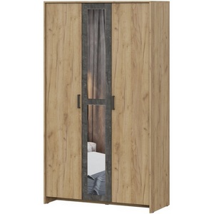 Изображение товара Шкаф Taika дуб золотой / камень темный