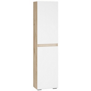 Изображение товара Шкаф Алетра П-500 (Алетра П-500 дуб крафт серый / глянец белый) арт.