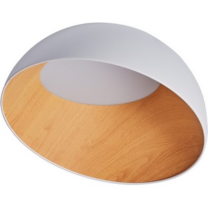 Изображение товара Потолочный светильник круглый IP21 светодиодный Zortes Baum ZRS.01201.19