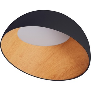 Изображение товара Потолочный светильник круглый IP21 светодиодный Zortes Baum ZRS.01243.05