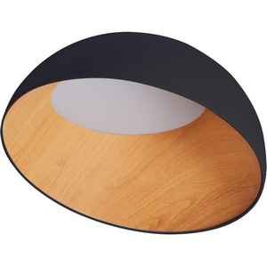 Изображение товара Потолочный светильник круглый IP21 светодиодный Zortes Baum ZRS.01243.07