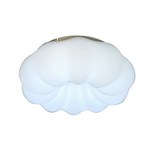 Изображение товара Потолочный светодиодный светильник с пультом Zortes Soft ZRS.1118.2 с цветами