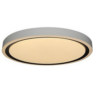 Изображение товара Потолочный светодиодный светильник круглый влагозащищенный Zortes Bella ZRS.1201.04