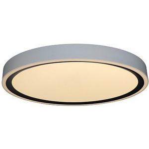 Изображение товара Потолочный светодиодный светильник круглый влагозащищенный Zortes Bella ZRS.1201.07