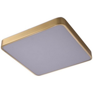 Изображение товара Потолочный светодиодный светильник Zortes Monna ZRS.1209.03