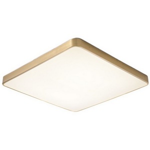 Изображение товара Потолочный светодиодный светильник Zortes Monna ZRS.1209.07