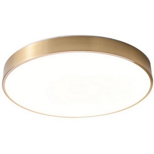 Изображение товара Потолочный светильник накладной диаметром 50 см круглый Zortes Monna ZRS.1209.12