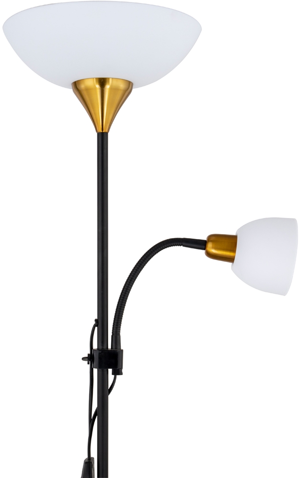 Изображение товара Торшер Arte Lamp Duetto A9569PN-2BK черно-белый