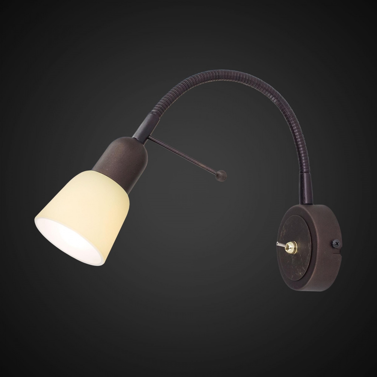 Изображение товара Спот с выключателем Citilux Ronda CL506314