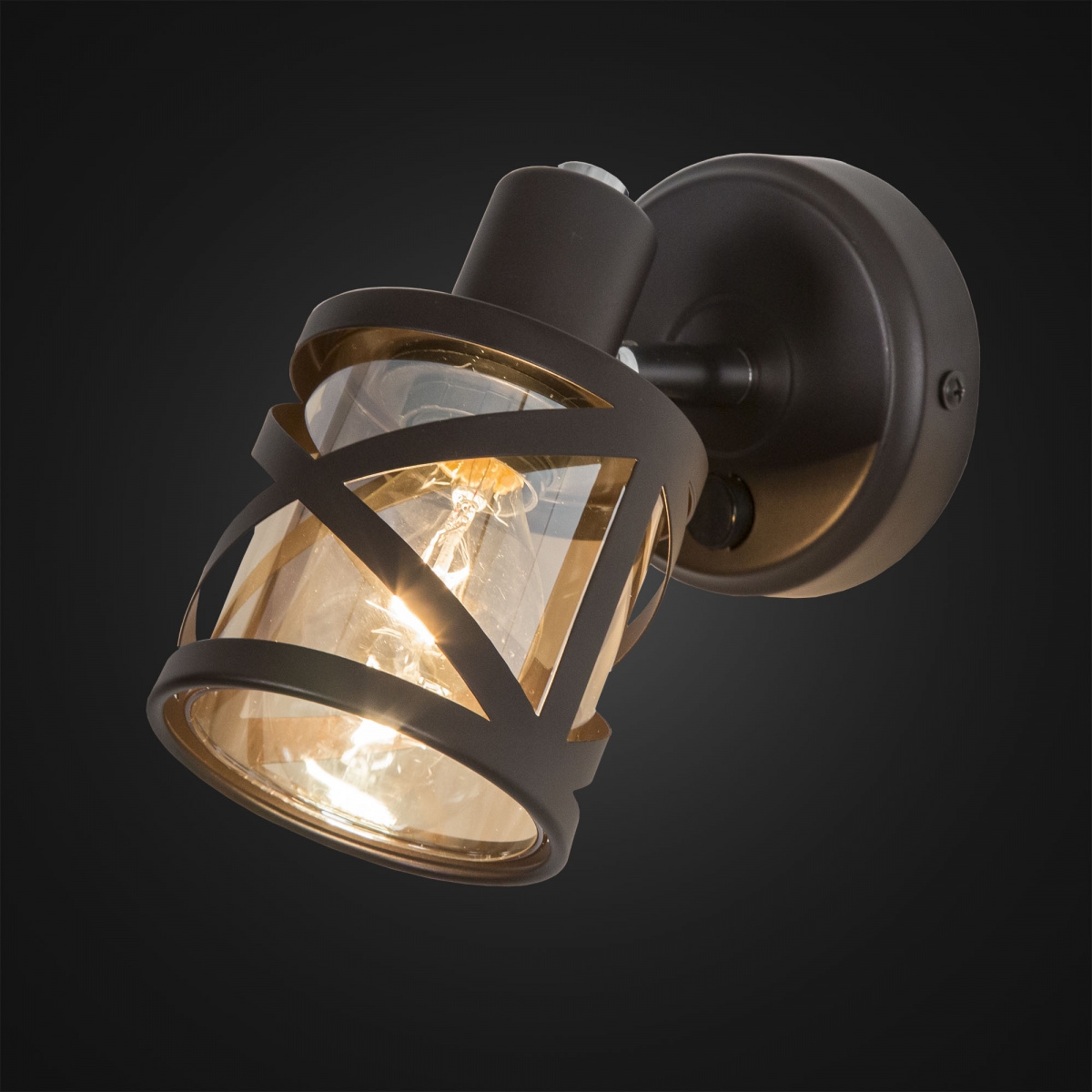 Изображение товара Спот с выключателем Citilux Гессен CL536615