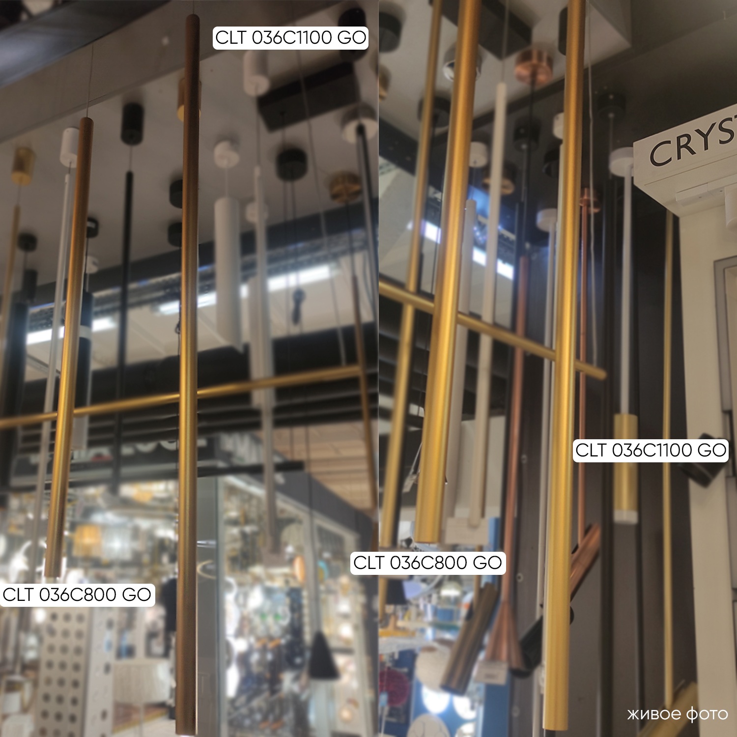 Изображение товара Подвесной светодиодный светильник Crystal Lux CLT 036C800 GO