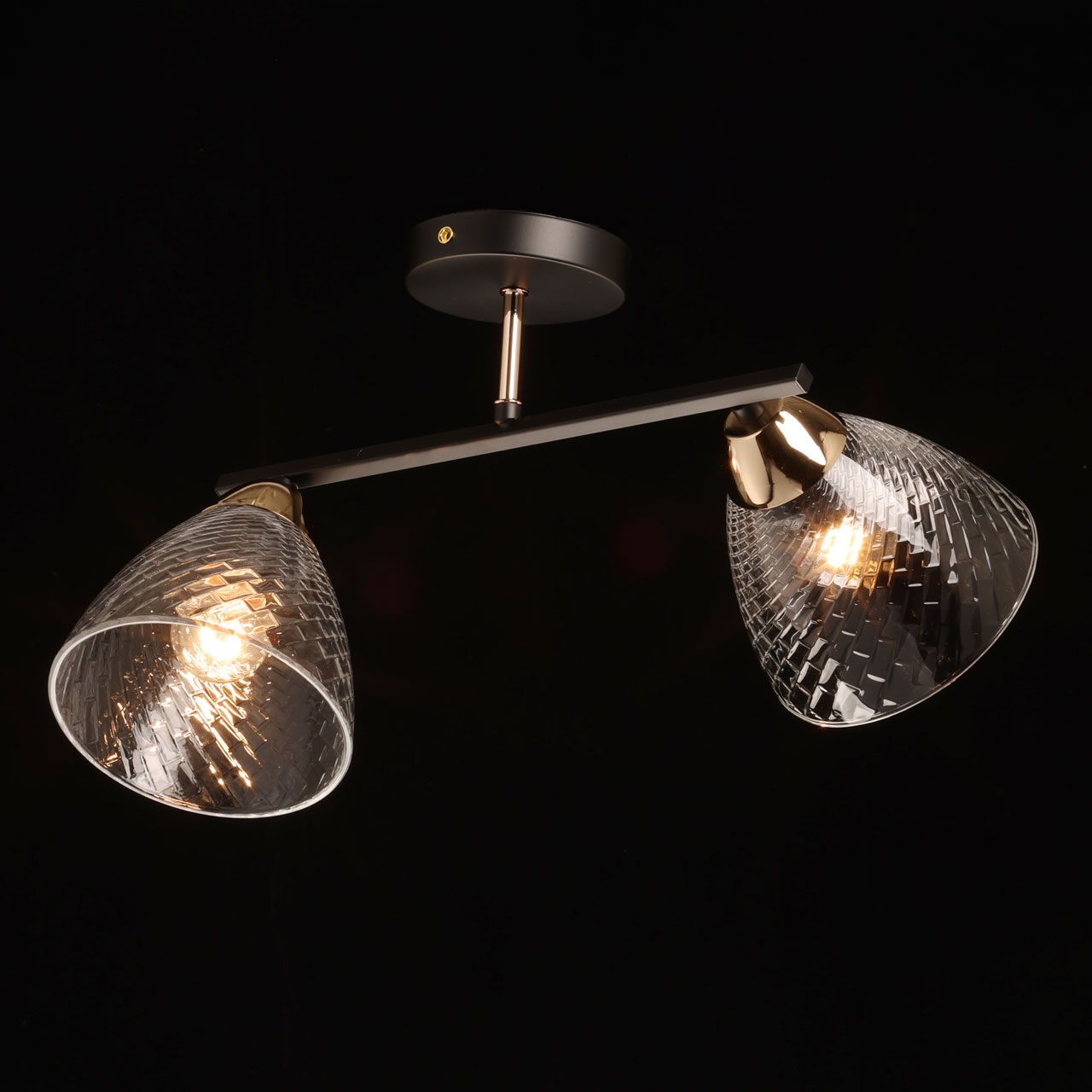 Изображение товара Потолочная люстра Dela 635017402 на штанге в стиле модерн 2 плафона Германию