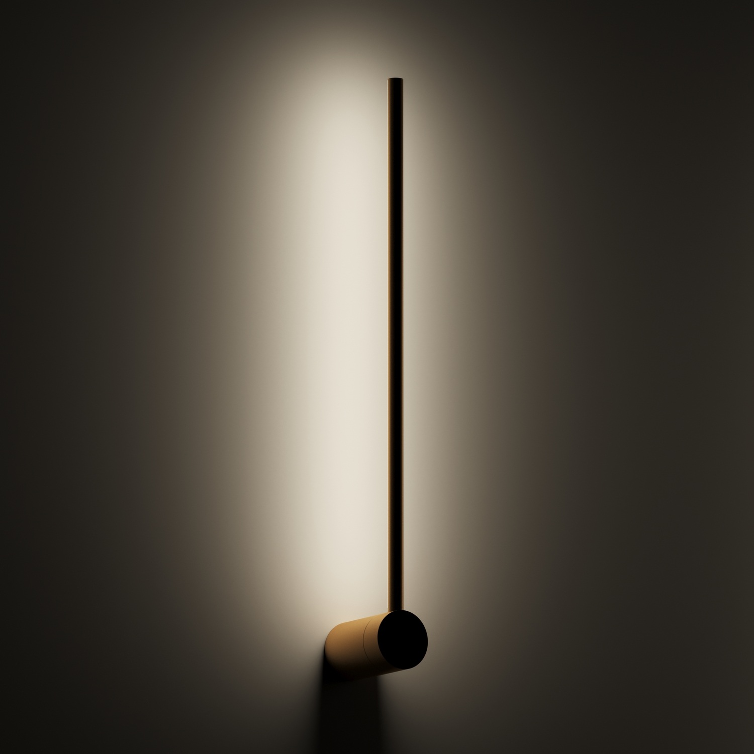 Изображение товара Настенный светильник светодиодный Denkirs Stang DK5010-SG