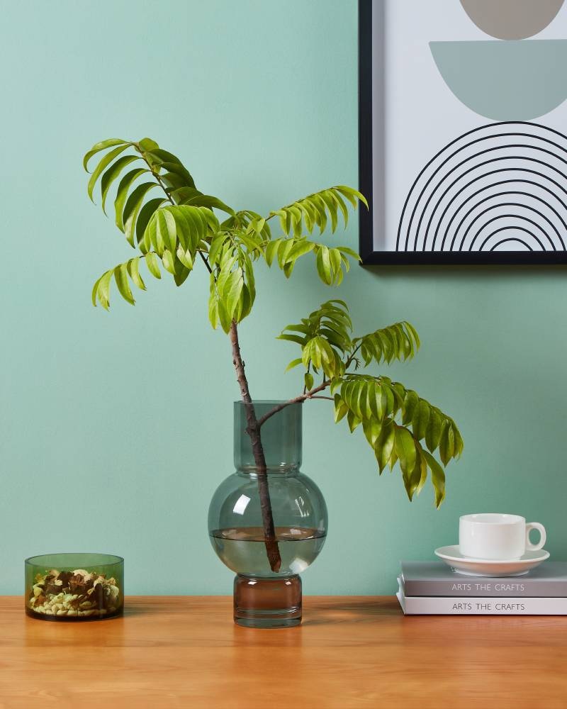 Изображение товара Декоративная ваза Eglo Ampitabe 421231 из стекла для интерьера