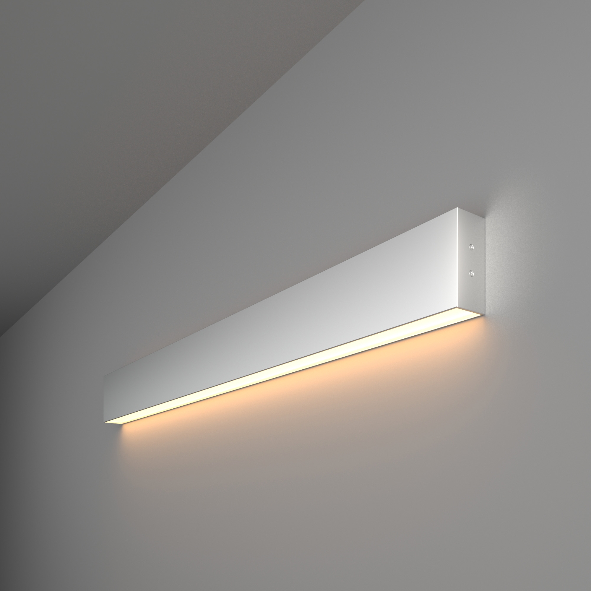 Изображение товара Настенный светильник LED LSG-02-1-8*78-12-3000-MS Elektrostandard техно стиль