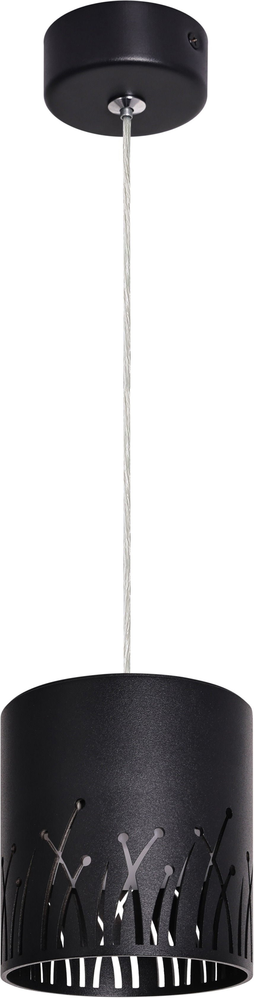 Изображение товара Подвесной светильник ЭРА PL30 BK