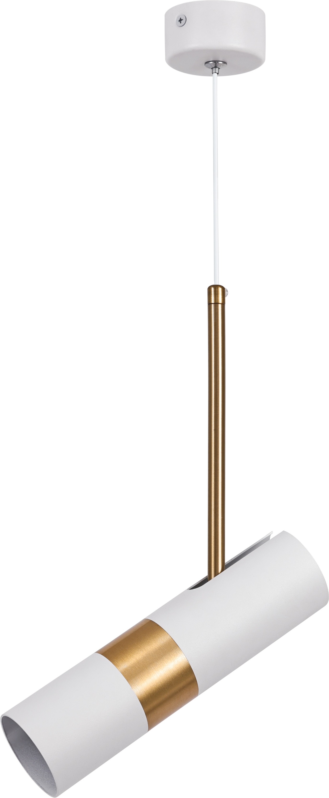 Изображение товара Подвесной светильник ЭРА PL33 WH/GD