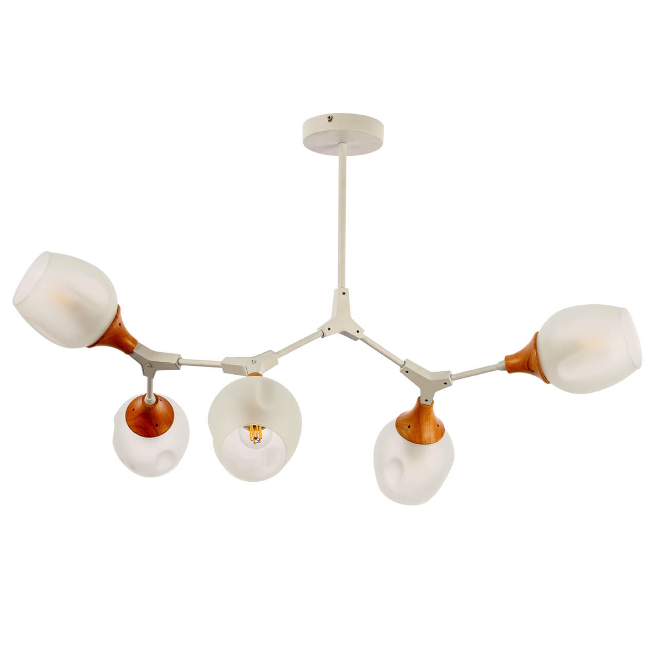 Изображение товара Потолочная люстра Evoluce Ciotolla SLE113502-05 шарики модерн белая