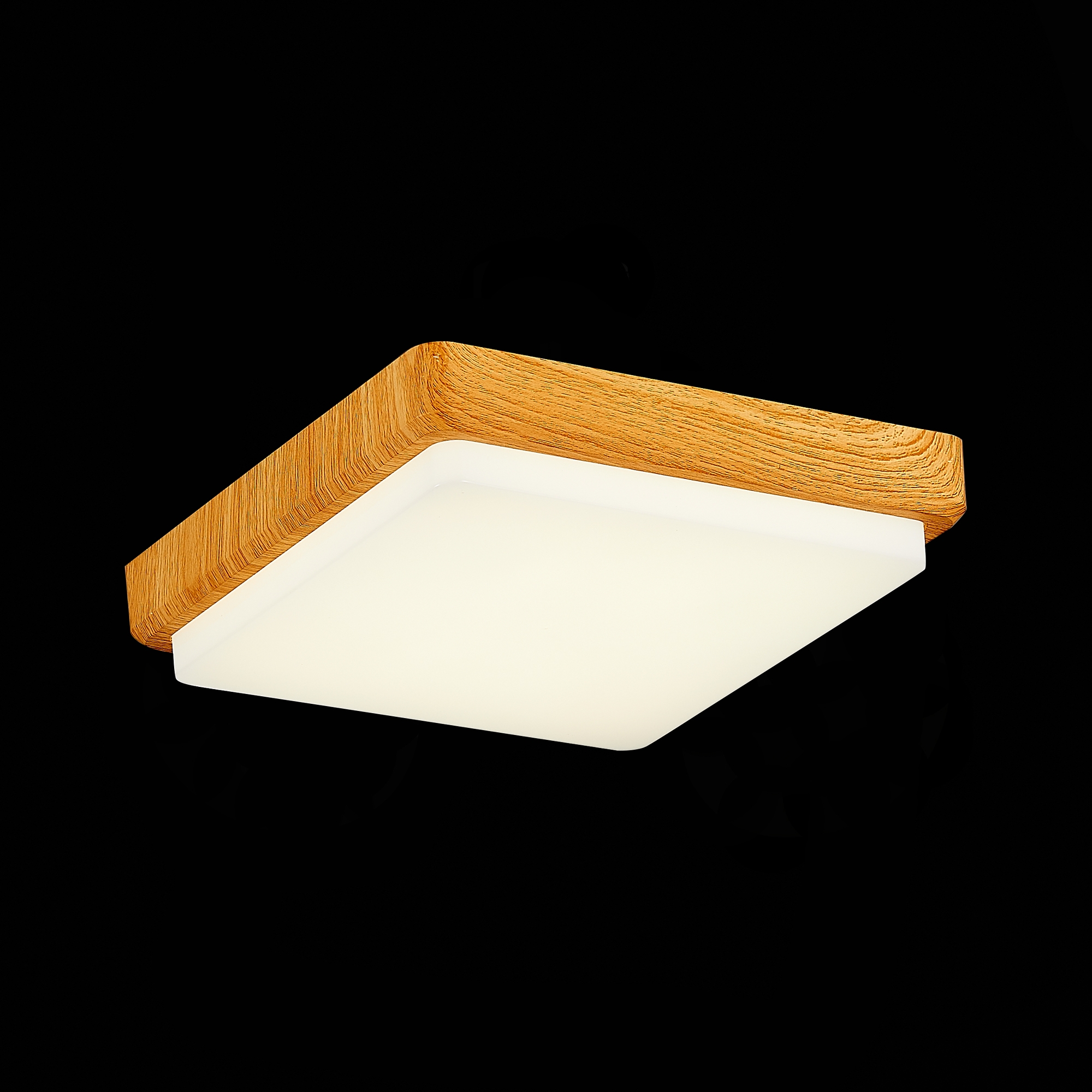 Изображение товара Потолочный светодиодный светильник Evoluce Taddio SLE200202-01 20 Вт Хай-Тек для дома и офиса