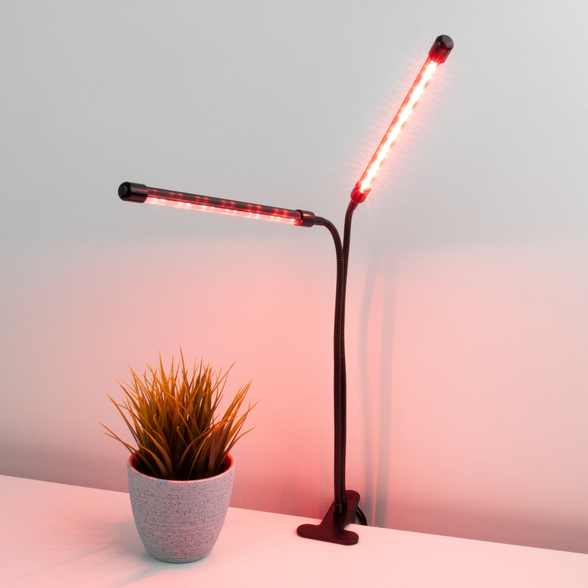 беспроводная лампа для растений