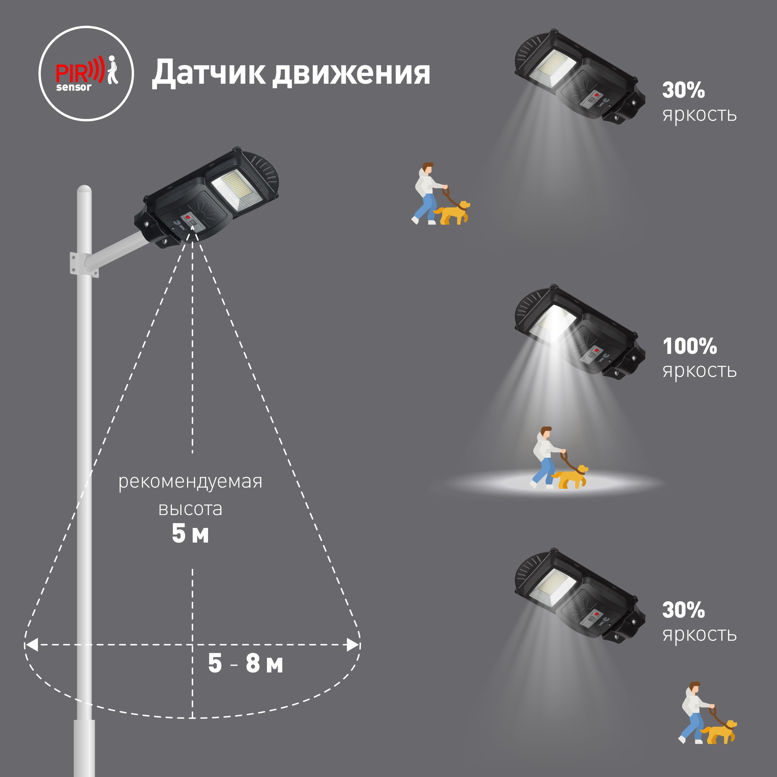 Уличный консольный светильник светодиодный на солнечных батареях с пультом  и датчиком движения ЭРА ERAKSS20-02 купить выгодно в интернет-магазине  Лю.ру - Доставка в Москве, по России