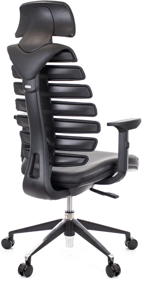 Компьютерное кресло Ergo кожа черный Everprof EP-Ergo leather Black ...