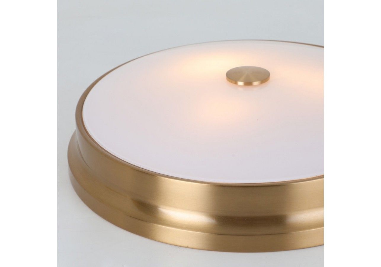 Изображение товара Потолочный светильник круглый Favourite Pannikin 2375-3C