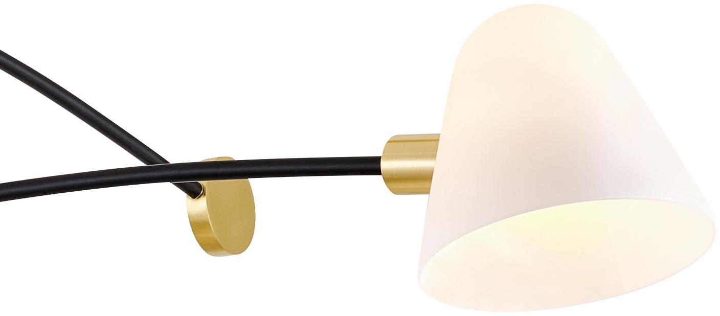 Изображение товара Потолочная люстра Favourite Statera 3045-2P