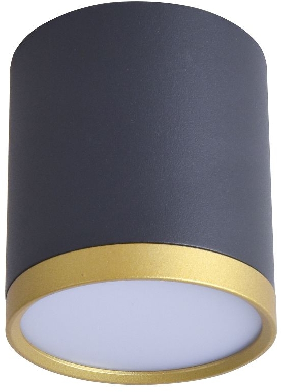 Изображение товара Накладной светильник Favourite Baral 3081-1C с LED лампой для современного интерьера