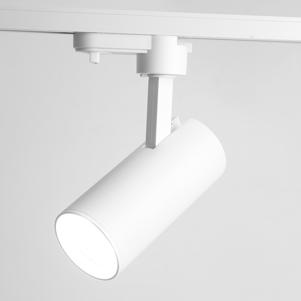Изображение товара Светильник трековый однофазный 220V Feron AL195 48542 GU10, белый