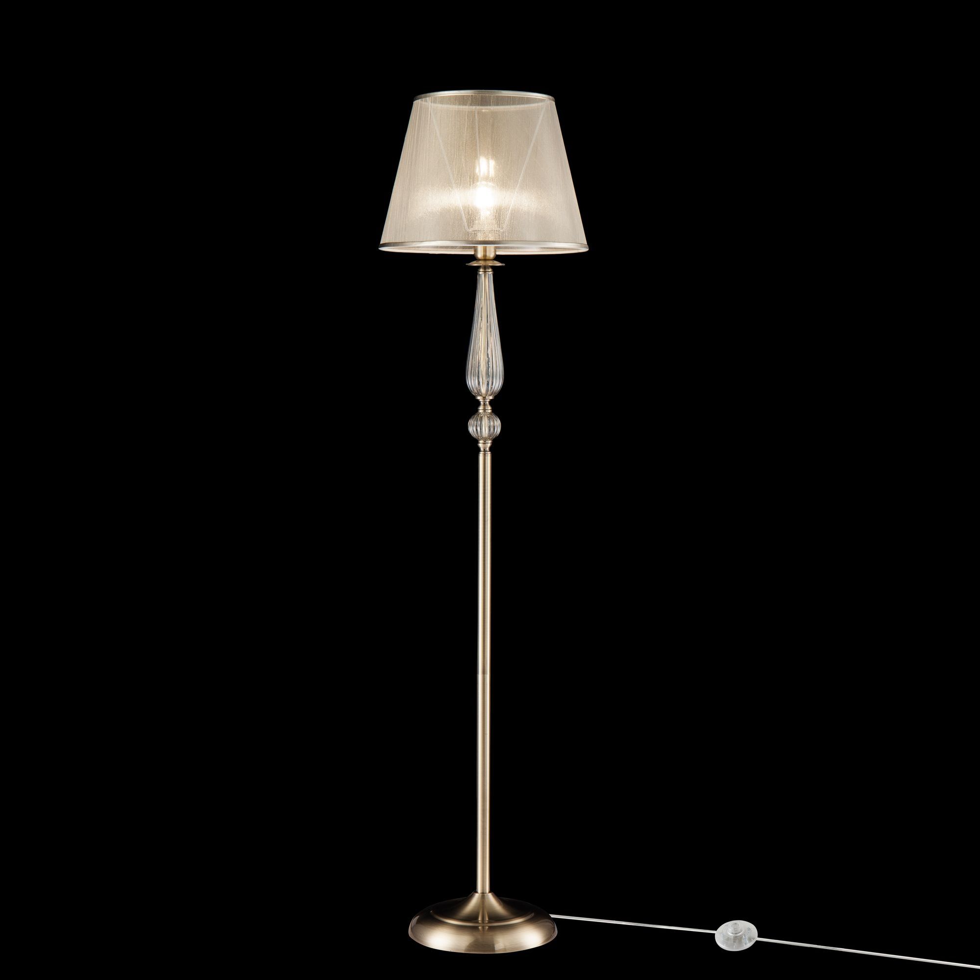 Изображение товара Торшер с выключателем Freya Inessa FR2685FL-01BZ