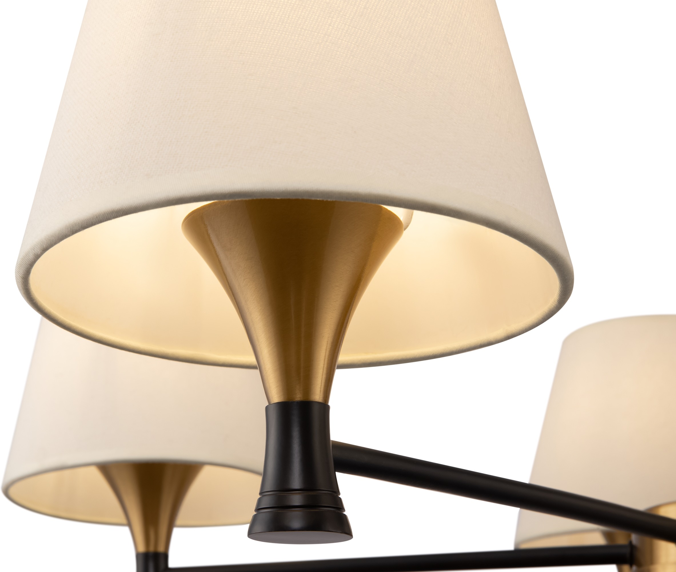 Изображение товара Потолочная люстра Freya Perfetto FR5098PL-05BBS