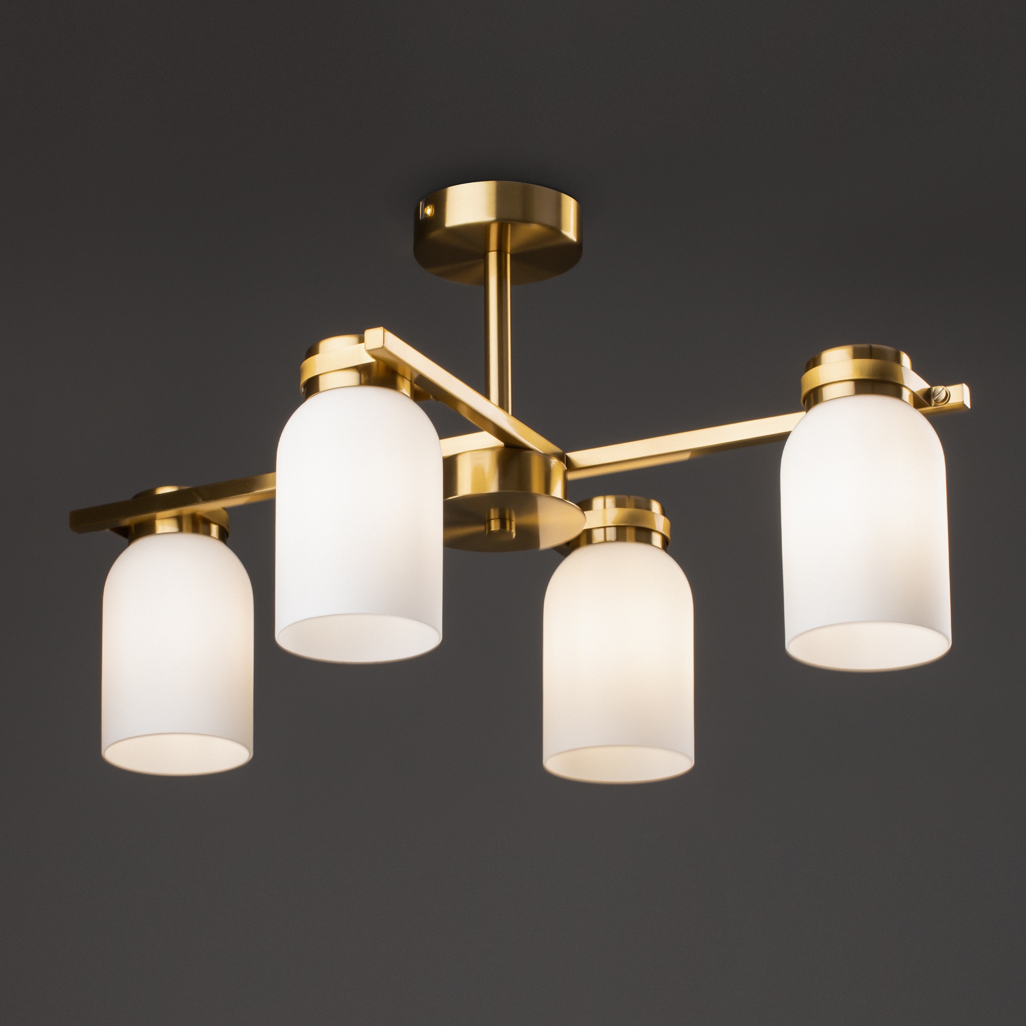 Изображение товара Потолочная люстра на штанге Freya Kamelia FR5446PL-04BS1