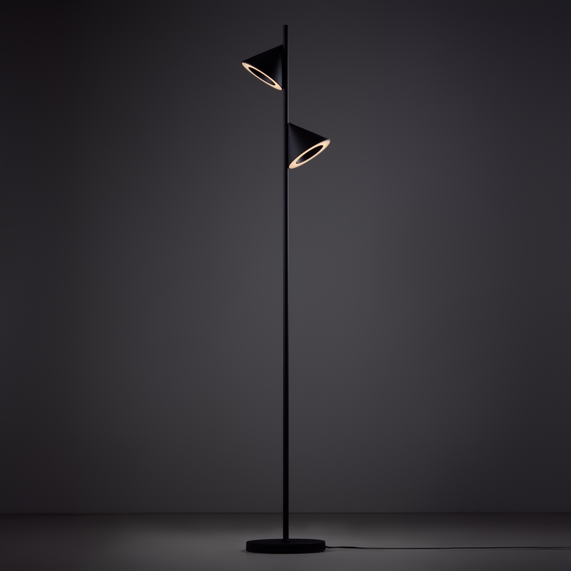 Изображение товара Торшер светодиодный Freya Etro FR6141FL-L14B