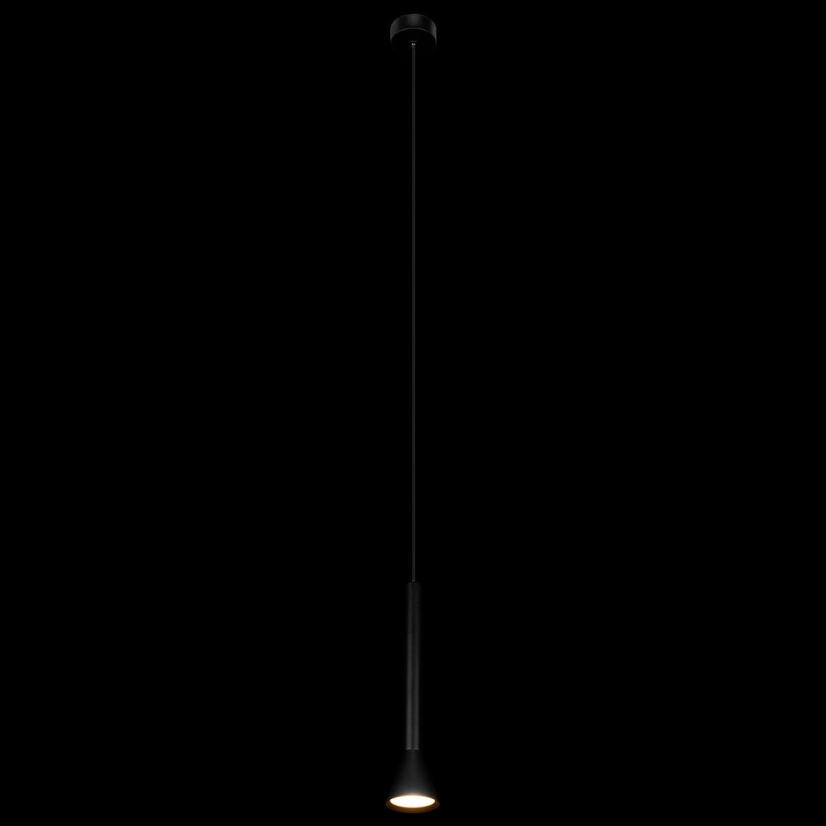 Изображение товара Подвесные светильник LEDи Loft It Pipe 10337/250 Black