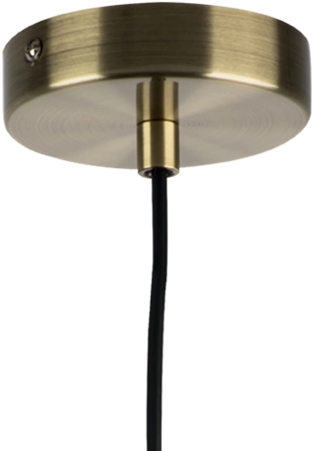 Изображение товара Подвесной светильник Lightstar RAMO 690111 для модерна, бронза, регулируемый высотой